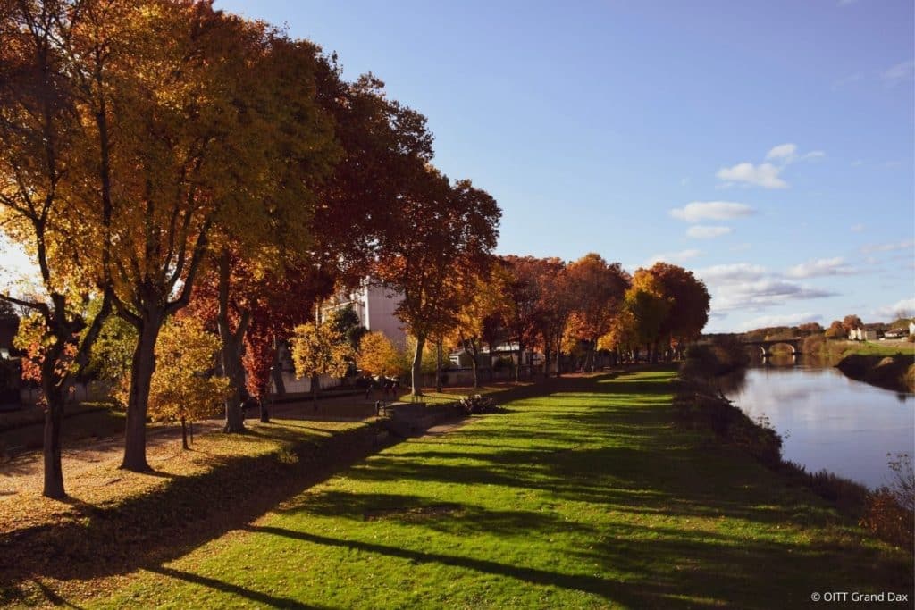 Les berges de l'Adour en automne.